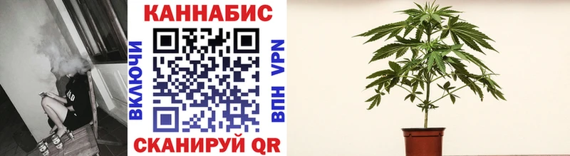 Марихуана Amnesia  где продают   мега как зайти  Верхотурье 